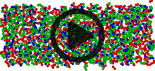 Lipid phase separation in a mixed bilayer