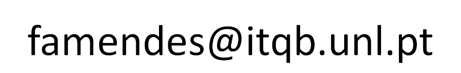 francico_mail