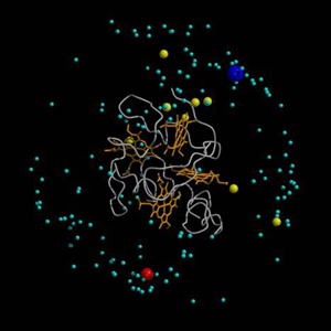 cytc3 I II