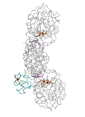 ROO and Rdg small.jpg