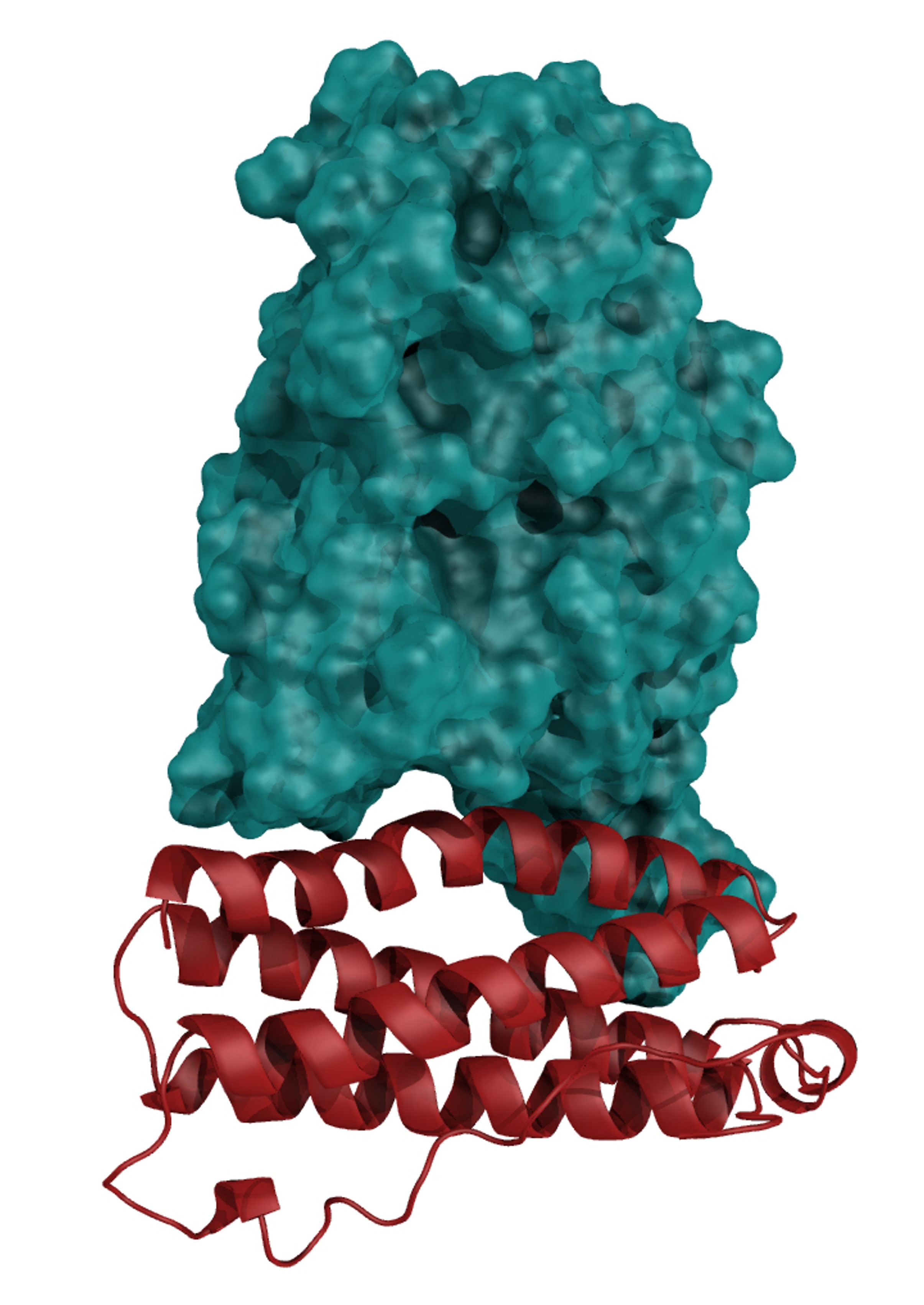 Antiviral Proteins