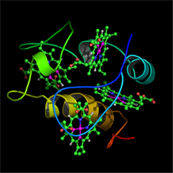 c3 type II_small.png