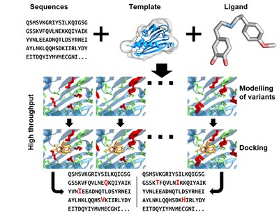 Enzyme Engineering