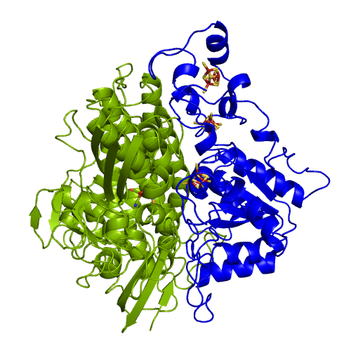 hydrogenase_rotation.gif