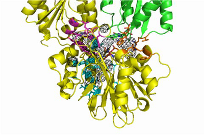 O2 and NO diffusion.png