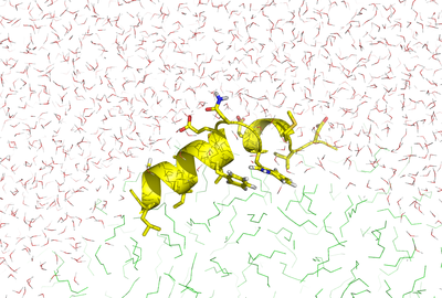 peptide_simulation.png