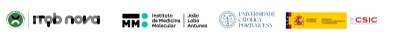 banner partners