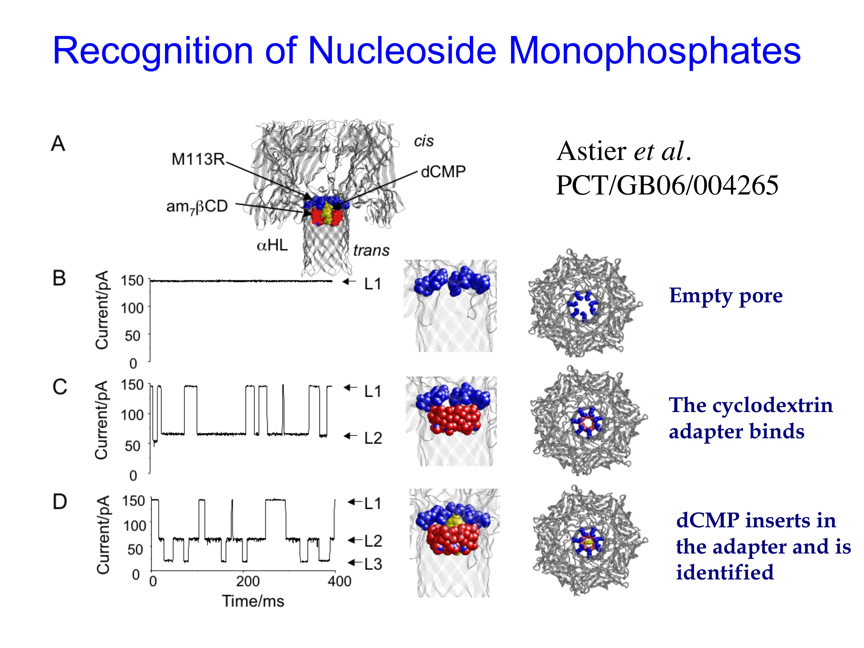 dna bases detection