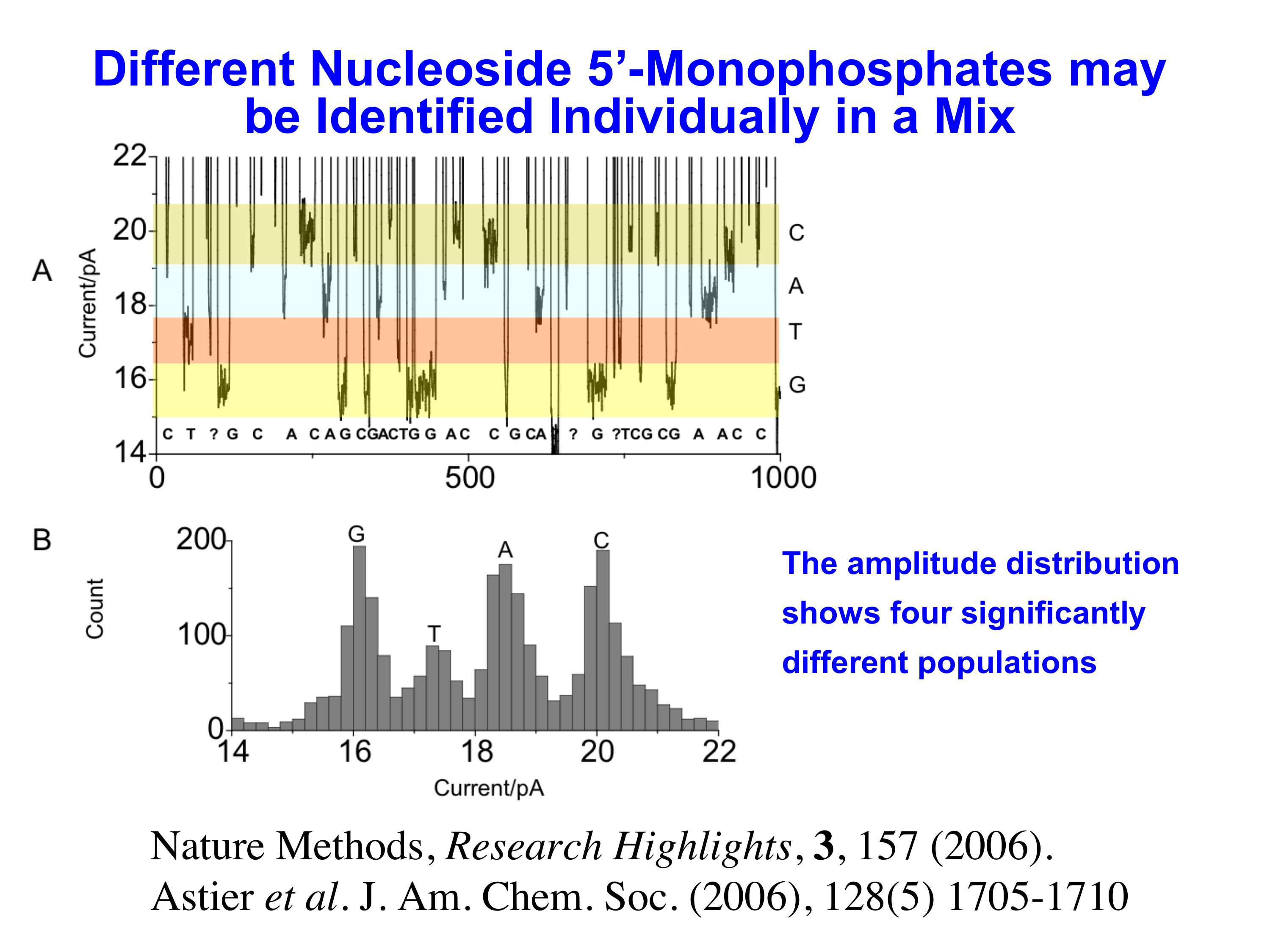 recignition dna bases