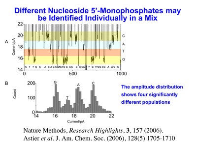 recignition dna bases