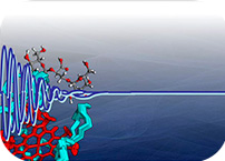 15th CERMAX practical course on basic NMR