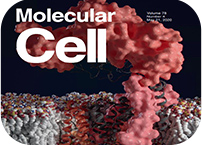 3D structure of anti-tuberculosis target makes cover of Molecular Cell