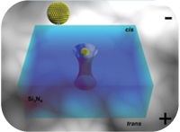 A new tool for sorting molecules