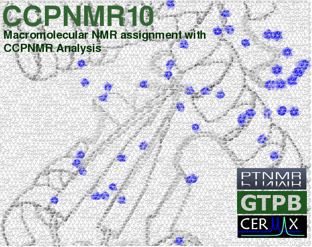 Advanced training in NMR