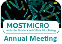 Annual meeting MOSTMICRO research unit