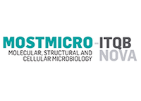 Application for 1 MOSTMICRO-ITQB NOVA PhD Fellowship are open