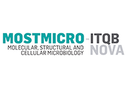 Applications for 8 MOSTMICRO-ITQB NOVA PhD Fellowships are open
