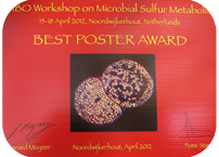 Best poster award at EMBO Workshop