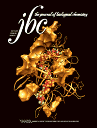 cover Rnase