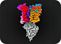 Cracking tuberculosis’ shield