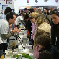 Discovering Science on a rainy day / Descobrindo a Ciência num dia de chuva 