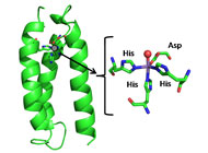 Designing enzyme mimics