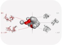 Do tree-like molecules fold?