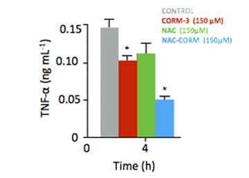 Double effect against inflammation