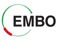 EMBO Installation Grant to ITQB