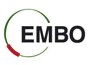 EMBO_logo