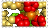 Enzyme structure on stamp?