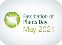 Fascination of Plants Day 2021 | Dia do Fascínio das Plantas