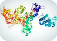 Fission or fusion? A story of protein evolution 