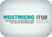 Five projects awarded within MOSTMICRO-ITQB Call