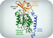 Gut News! ITQB NOVA Scientists Reveal Key Enzyme In Diarrhoea-Causing Bacteria