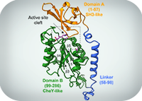 Gut News! ITQB NOVA Scientists Reveal Key Enzyme In Diarrhoea-Causing Bacteria
