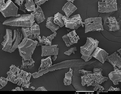 Fig.1 - Suberin polymer after extraction from Cork and lyophilisation 