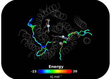 How oxygen gets there