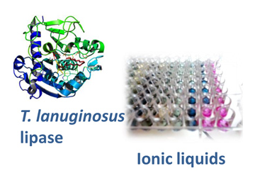 How will enzymes behave in ionic liquids?