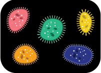 International Microorganism Day 2019