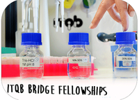 ITQB Bridge Fellowships