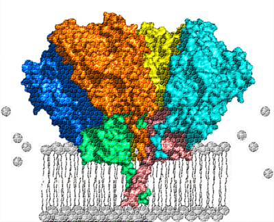 Living without oxygen in the EMBO Journal