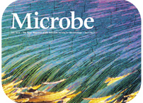 Microbe magazine higlights paper by ITQB researchers