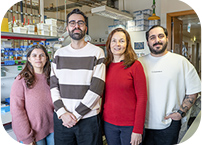 Microbial warfare helps bacteria evolve