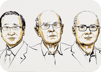 MOFs: as novas arquiteturas da química – Comentário ao Prémio Nobel de Química de 2025 por Beatriz Royo