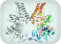 Molecular insights on bioelectrochemical technologies