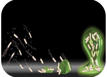 Crosstalking molecules