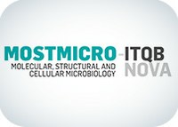MOSTMICRO-ITQB opens call for Exploratory projects