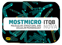 MOSTMICRO-ITQB Research Unit is hiring