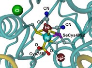 Moving towards the biological production of H2